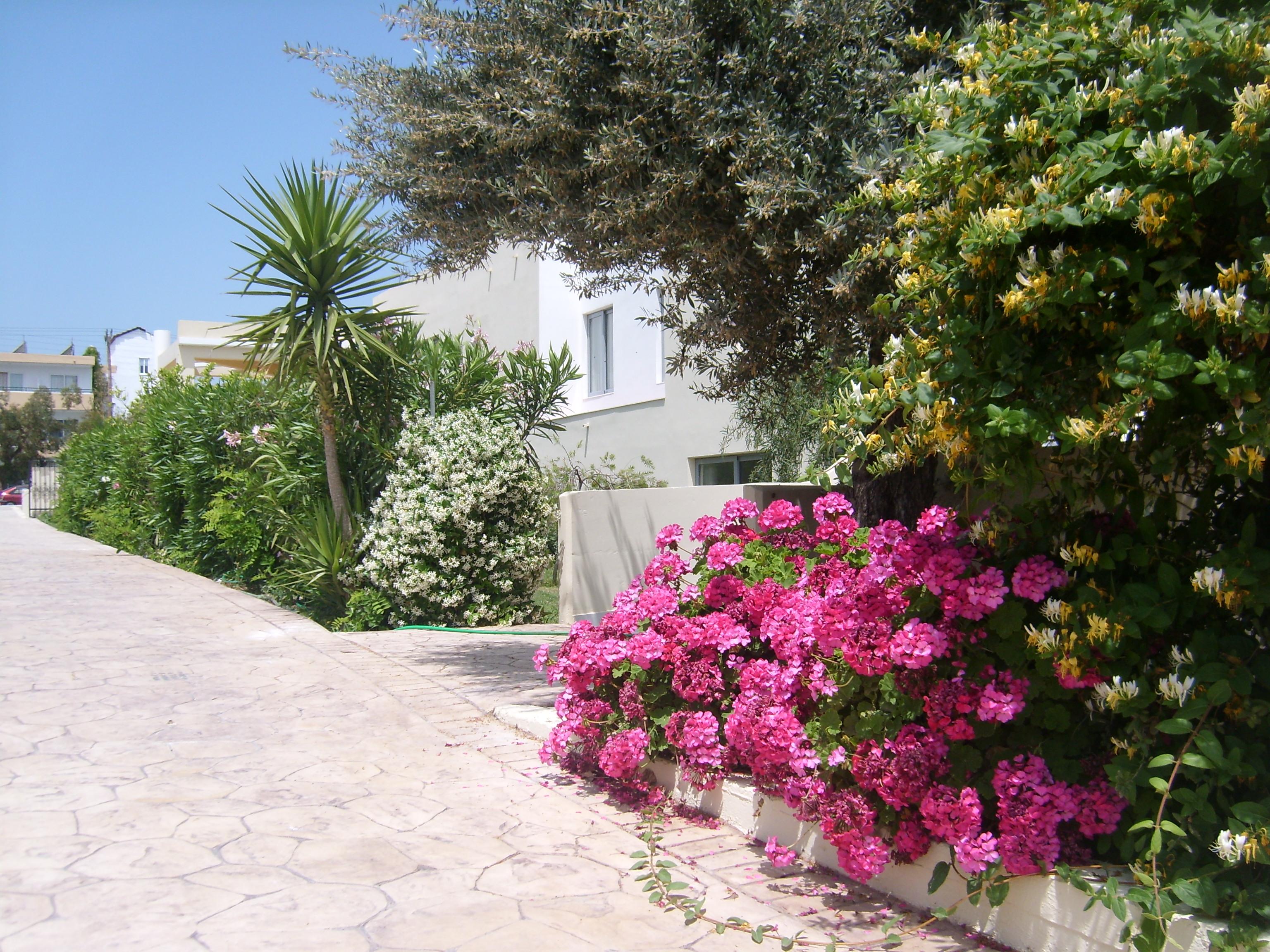 Memphis Beach Hotel Kolymbia Bagian luar foto